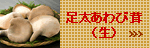 鸁i�A���r�j�̎��������I�ƂĂ������������̂��ł��B��������ё��i���j