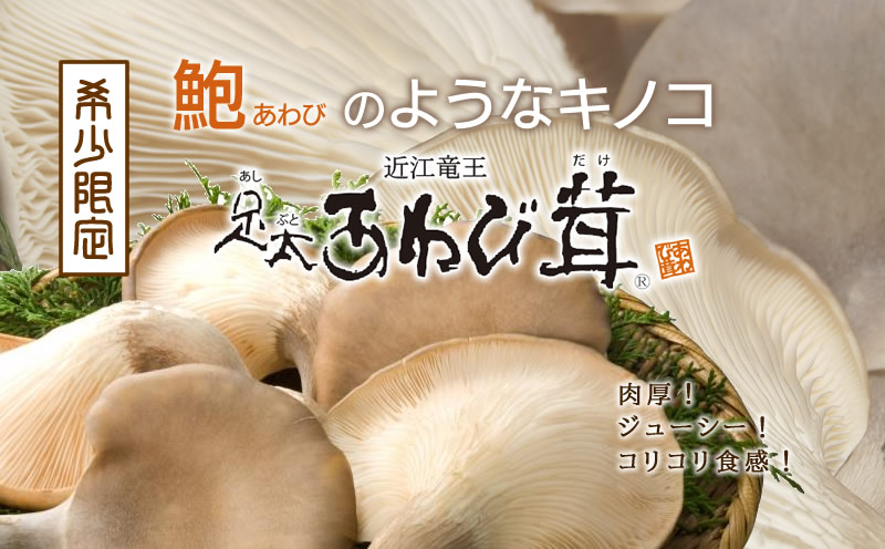 top - 滋賀県竜王町ふるさと納税返礼品に「足太あわび茸」が登録されています。