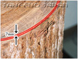只採用外皮與木質部之間厚度僅僅７mm的內部樹皮作為原料。