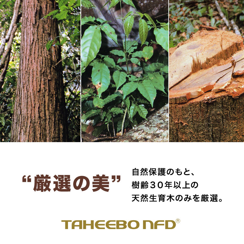 厳選の美 自然保護のもと、樹齢３０年以上の天然生育木のみを厳選。